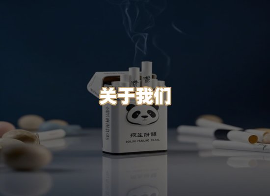 关于蓝帝网